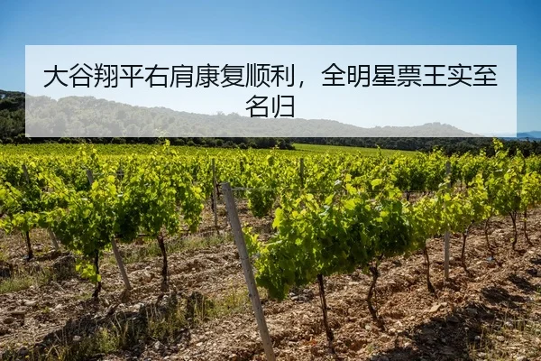 大谷翔平右肩康复顺利，全明星票王实至名归