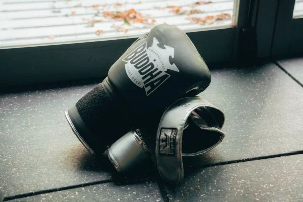 boxing training gloves